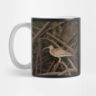 Whimbrel Mug